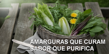 Da rejeição ao remédio: redescobrindo o valor do amargo